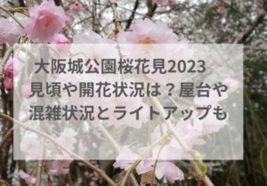 大阪城公園桜花見2023見頃や開花状況は？屋台や混雑状況とライトアップも